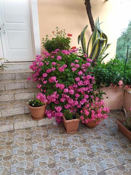 Willa Garden Of Olive Trees Asfendiles Zewnętrze zdjęcie